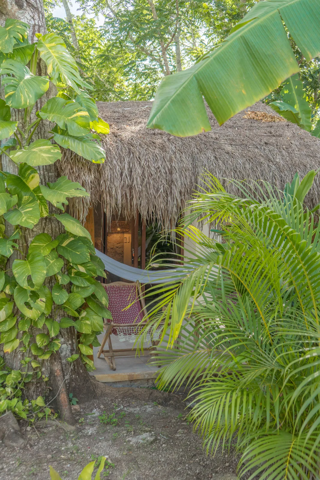 Bungalow with palapa roof and hammock