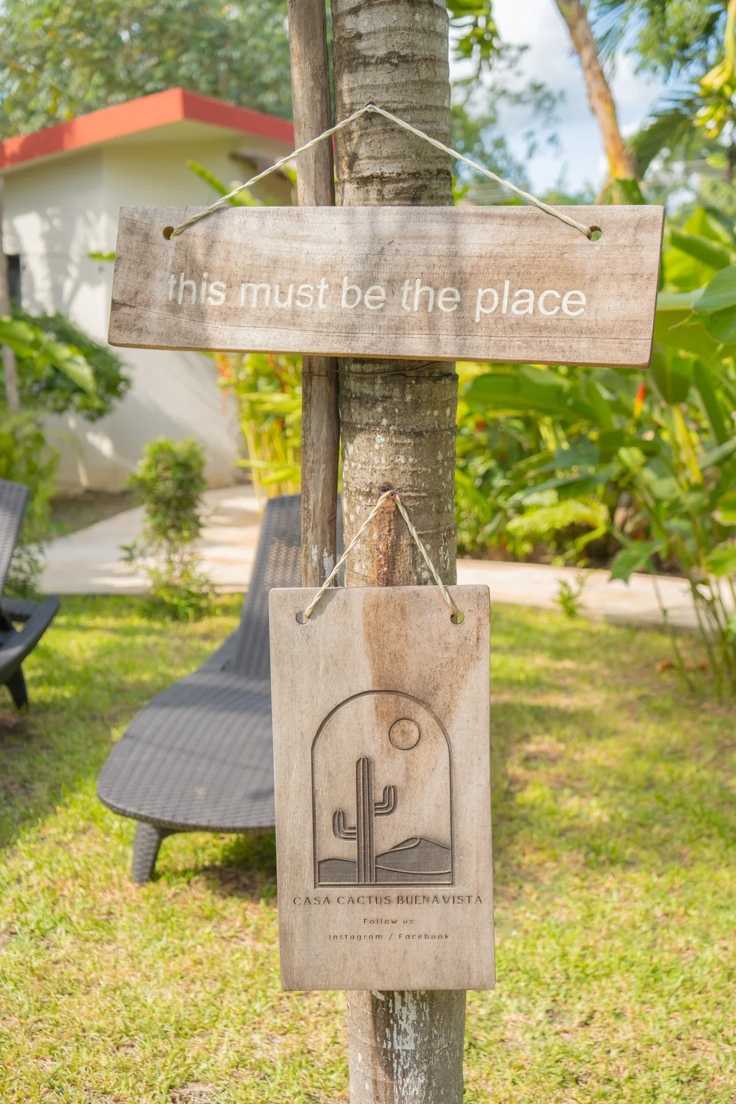 This must be the place — Casa Cactus Buenavista sign